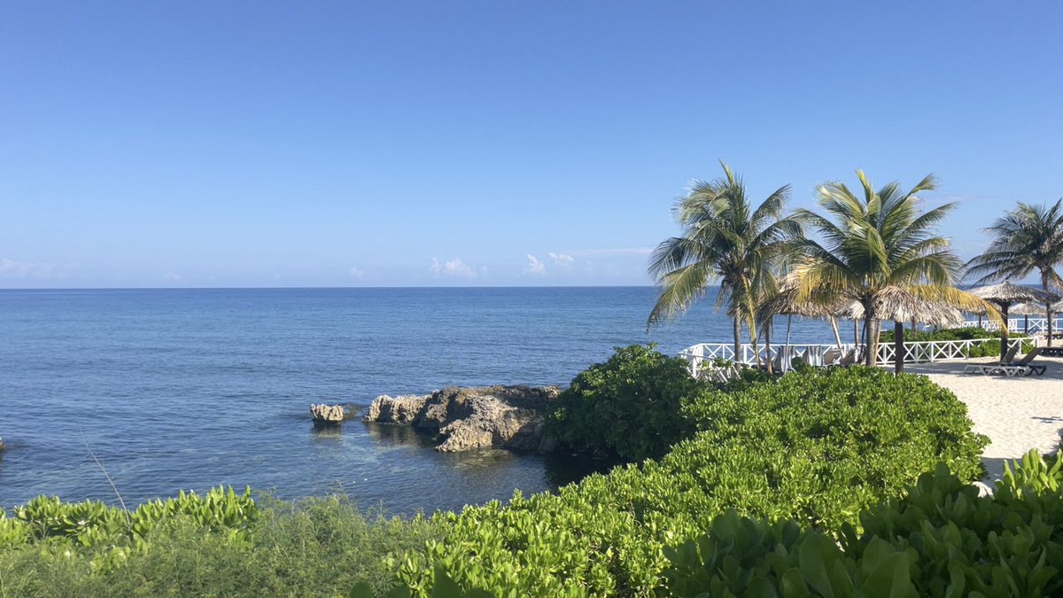 Danielledegner's tweet photo. SPRING BREAK! 🌴☀️ https://t.co/2CUGBOjPgS