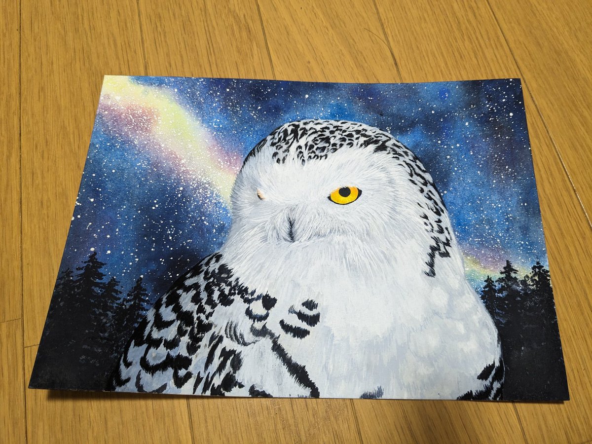 シロフクロウ　絵の具