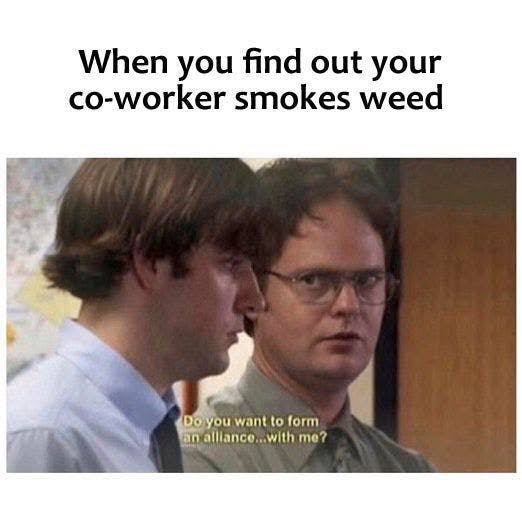 The high-performance team.