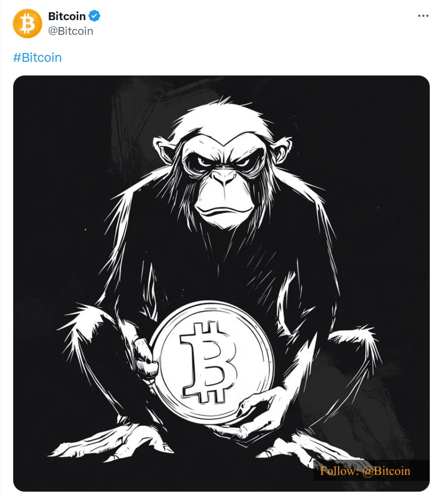 Web3Yjy's tweet photo. #BITMONKEY 在 50k 时发推文，最高达到 150k — 3 倍

CA:2kG3JjJmUuK9RbV47611sXmMT5xeNfNKtpf1r3vWpump

代币的叙述与比特币发布代币插图推文有关。持有者是干净的，所以我持有而不出售

DYOR https://t.co/GgrJKUgWX7
