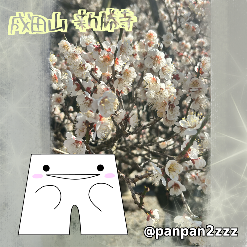 panpan2zzz's tweet photo. おはようございます☀️☀️
花粉はすごいのですがどうしても梅が見たくて成田へ先週行ってきました〜❁⃘*.ﾟちょうど見頃で楽しました✨
もうすぐ桜の時期ですね！
3月も中旬、今週も頑張りましょ👍🏻⟡.·
#イラスト #ゆるいイラスト #ゆるいらすと #ゆるい絵 #梅 #お花見 #花粉症 #お天気 #ぱんつーず https://t.co/FKY45bREGA