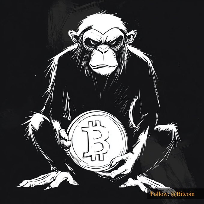 LarsAhlmark's tweet photo. The key to earning #memecoins is the use of tools and information sources.

This group of friends using GMGN found #BITMONKEY while sweeping the chain and sniped into the market from 3 $SOL -> 18 $SOL

CA:
https://t.co/QK7nZTam29 https://t.co/qwaqRacnAt