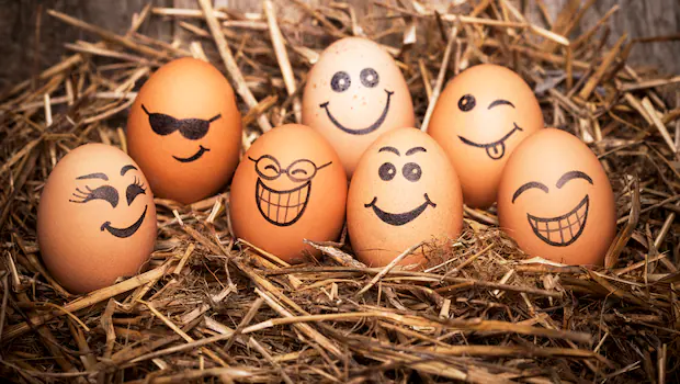 NDTVFood's tweet photo. What Your Preferred Style Of Eggs Say About Your Personality
https://t.co/BxGpnLy0zU
#eggs #personality #eggstyle https://t.co/2SWUgY7Esx