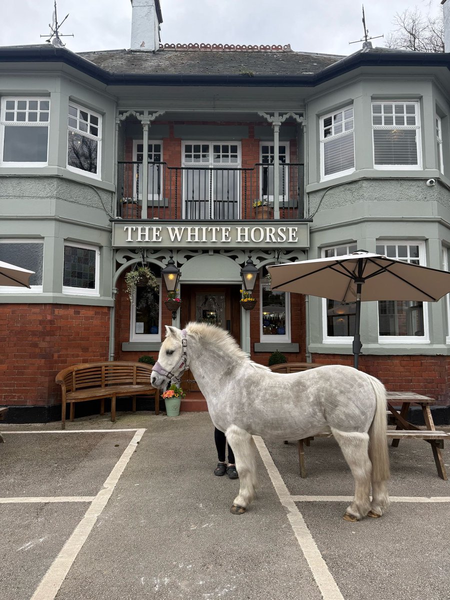The White Horse Pub tweet media
