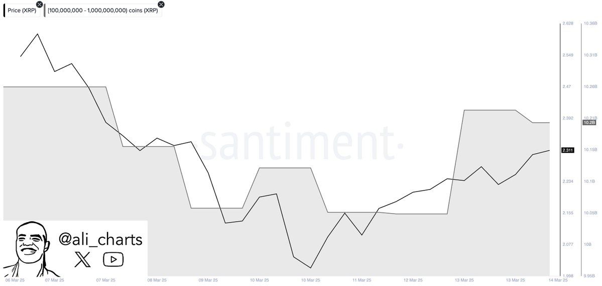 CryptosRus on X: "π³ Whales have accumulated over 150 million ...