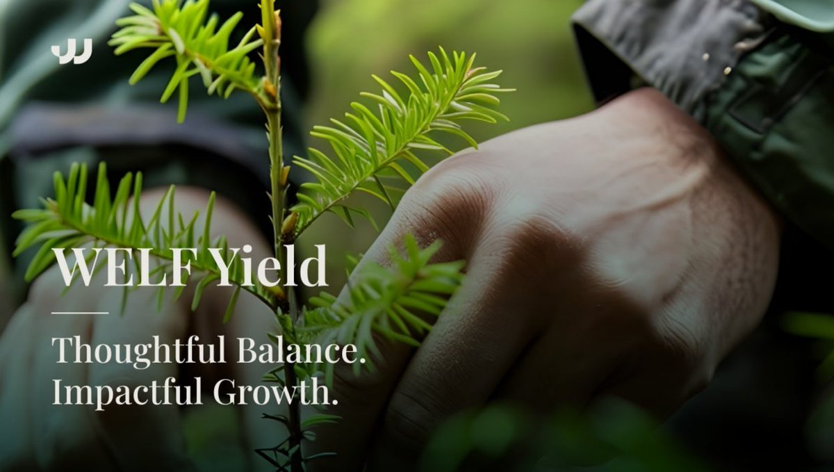 SebastianWols17's tweet image. Powerful Article
WELF Yield - Thoughtful Balance

I am not from the TikTok gen. so I do like to read articles with a meaning! This below is a really great article from @WelfFinance about the the balance in the market and investing!

I like the part:
"When it comes to bridging the…