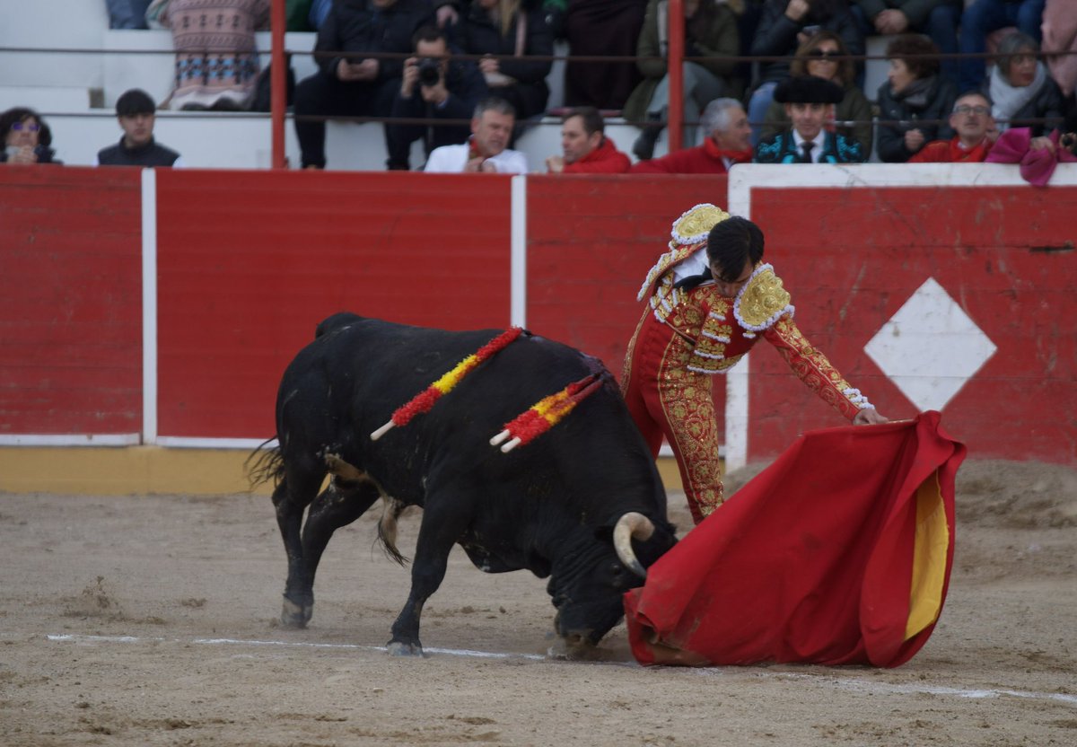 Gómez del Pilar tweet media