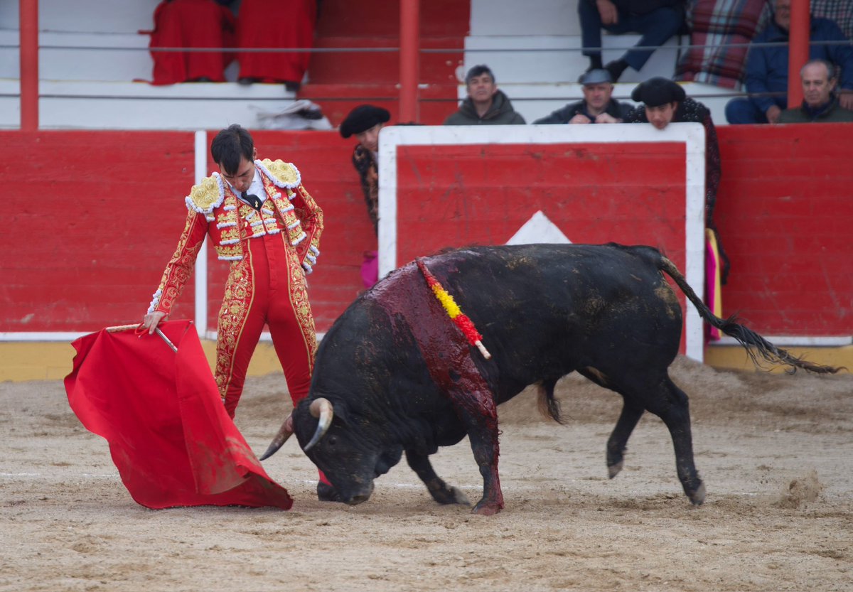 Gómez del Pilar tweet media