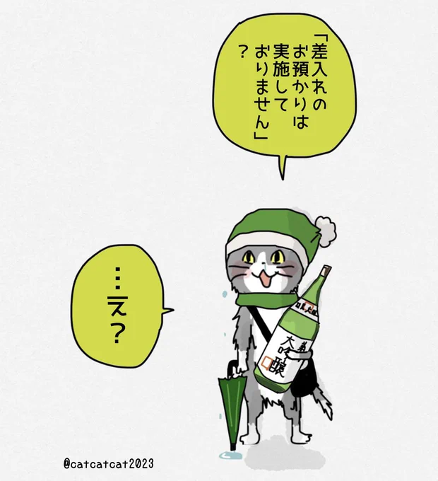 持ち帰った猫。 