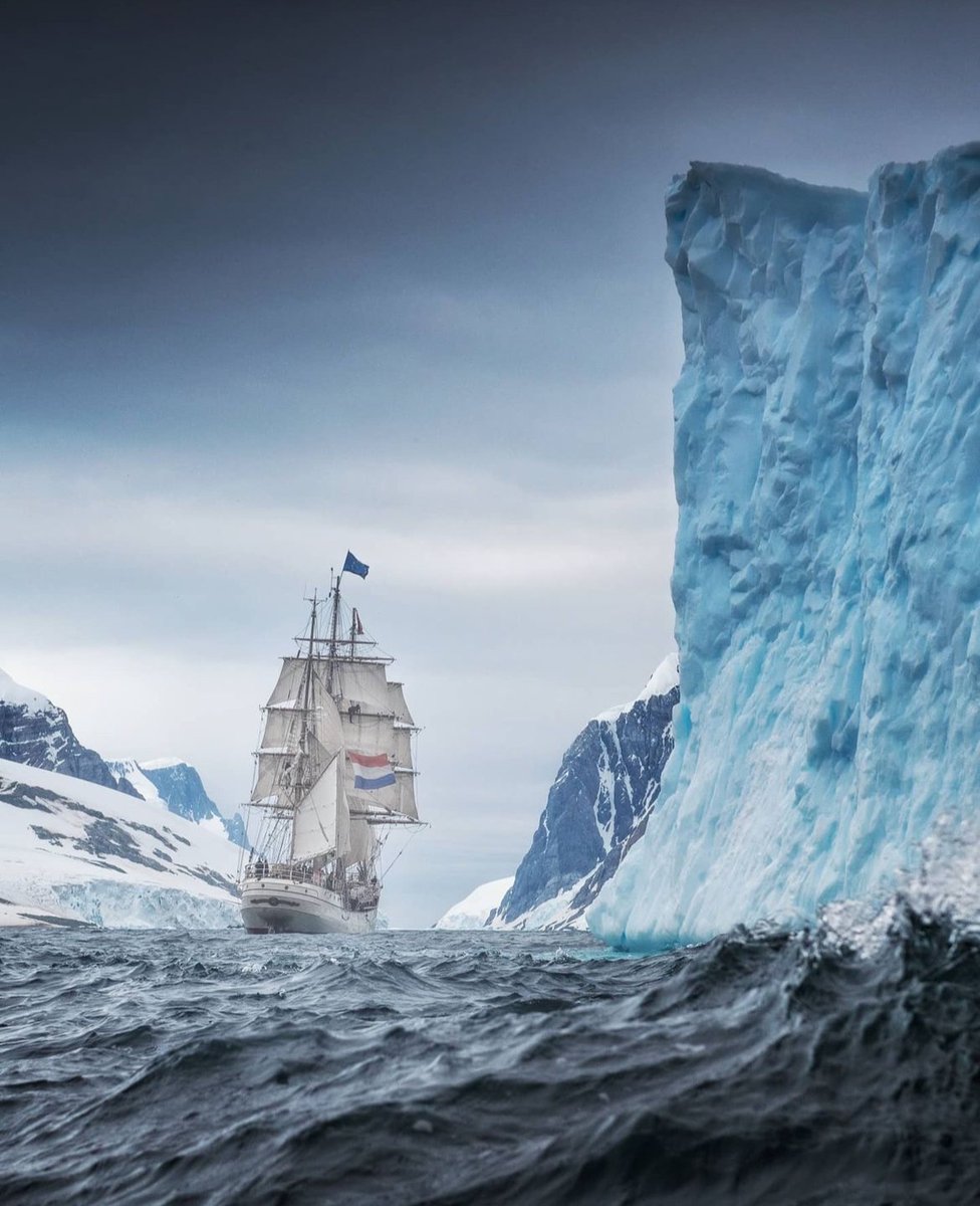 𝐌𝐚𝐭𝐭 𝐏𝐢𝐧𝐧𝐞𝐫 tweet media