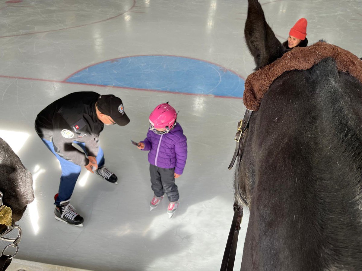 TPSMounted's tweet photo. #PHInvictus and #PHChief visited the Malvern Community Centre recently for a #SpringBreak skating event and were able to visit skaters rink side! #gentlegiants #policehorse #toronto #mounted https://t.co/nGtPwDMKlL
