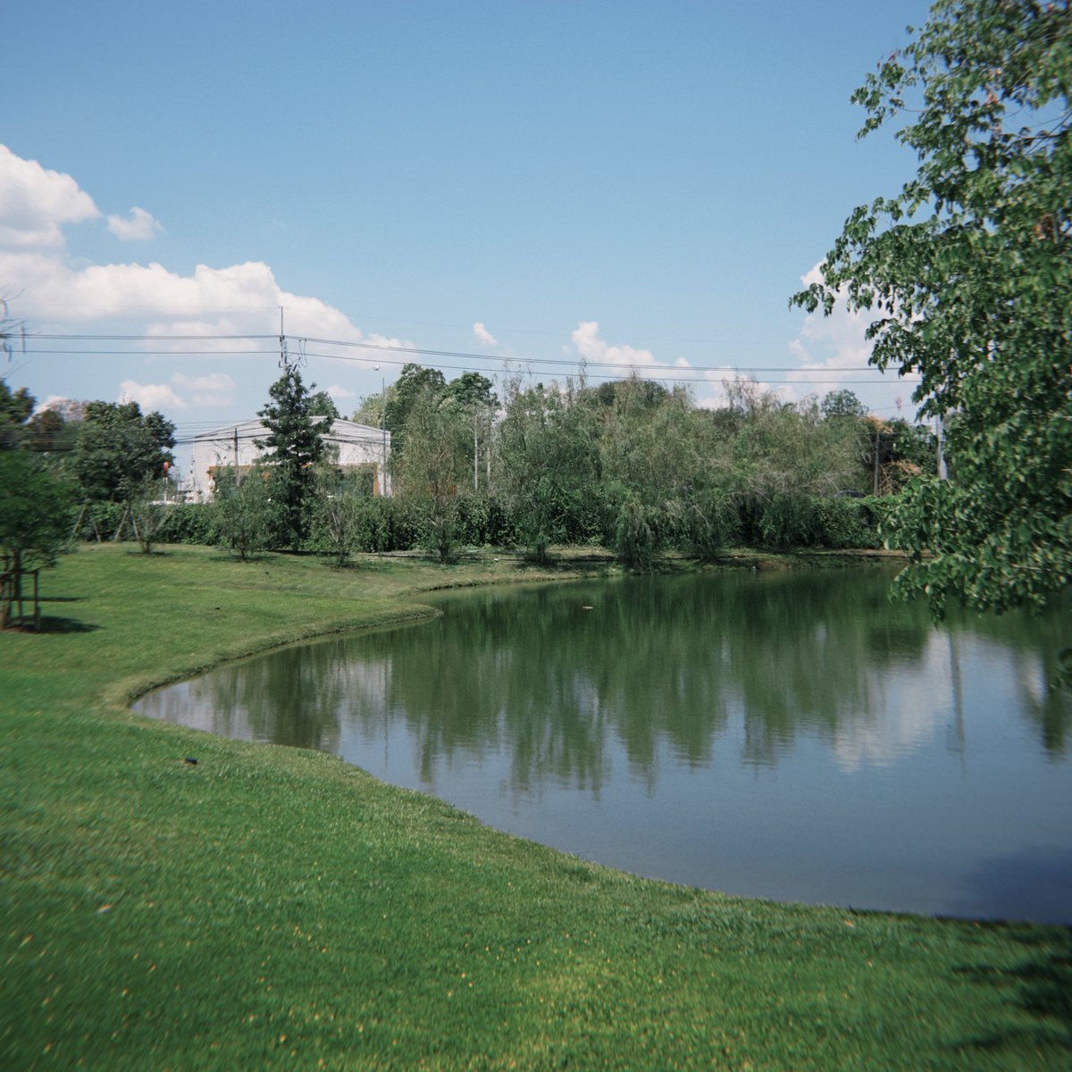 HARU ๐ฉโกฬถ๐ช tweet media