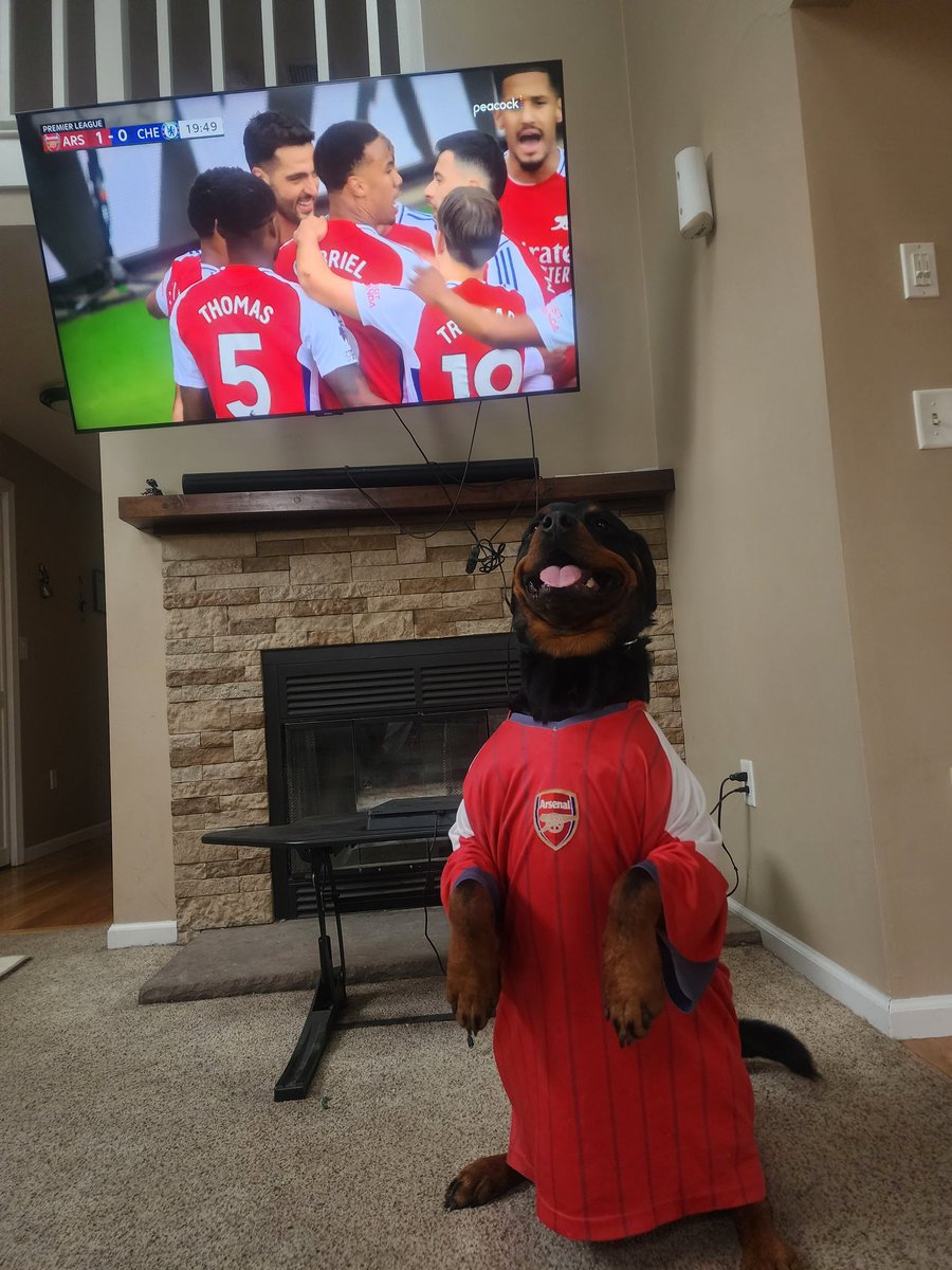 aniketargade's tweet photo. Someone's celebrating early lead ##MyPLMorning #COYG #ArsenalRotties https://t.co/uaKHnYHTqZ