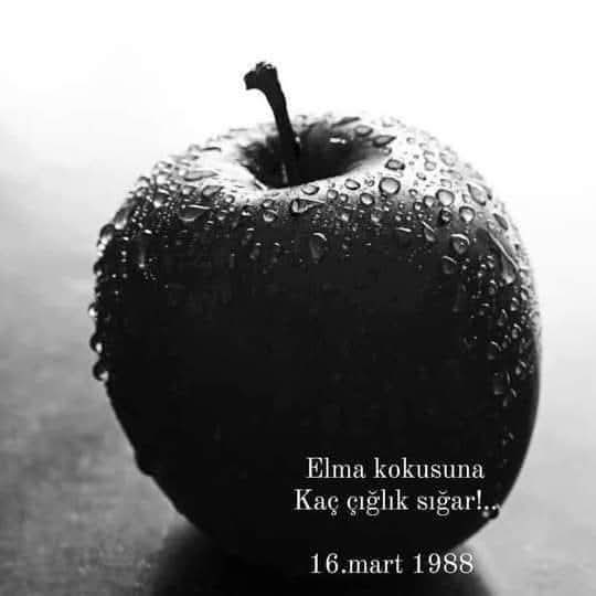 __yasar's tweet photo. Sessiz çığlıkların şehri Halepçe #HalepçeKatliamı https://t.co/TiUdNYgilT