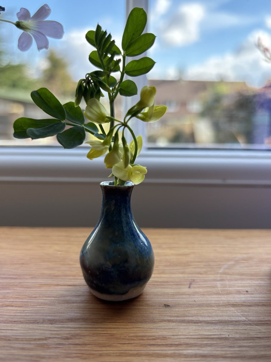 Still recovering from detached retina surgery and a little bored! Made some tiny vases….