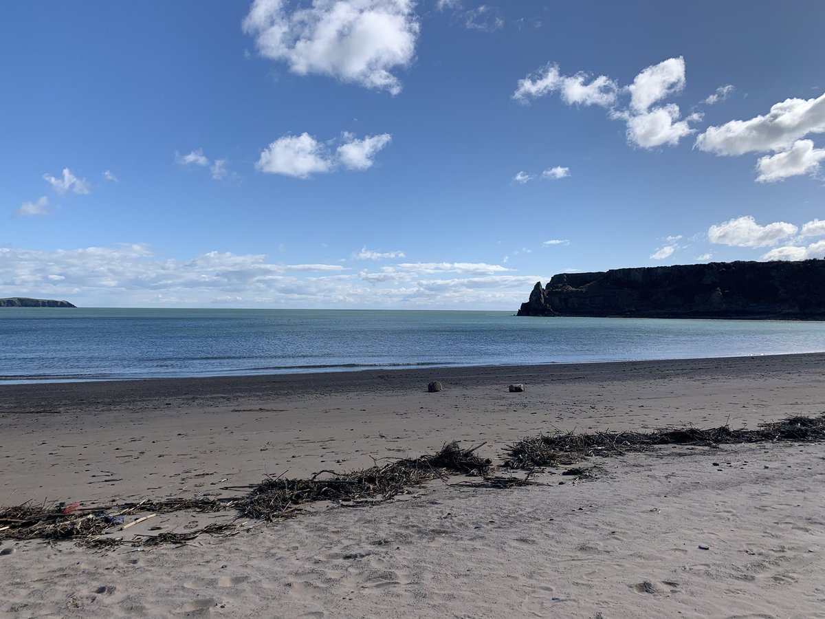 westiemont's tweet photo. Another beach day 🏖️☀️#ScottishTerrier #Lydstep #Pembrokeshire https://t.co/GnMTv1ymXA
