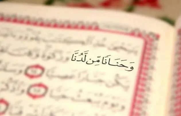 🌱🌦️

ماذا لو اختصّك الله بحنانه ؟
يقول السعدي عند تفسير آية: ﴿ وَحَنانًا مِن لَدُنّا ﴾ :
أي: " آتيناه رحمةً ورأفةً تيسرت بها أموره ، وصلحتْ بها أحواله ، واستقامت بها أفعاله "

اللهم حنانًا من لدُنك يؤنسُ أرواحنا ،
ولُطفًا من حنانك ، تدرأ به عنّا المصائب والنوائب.