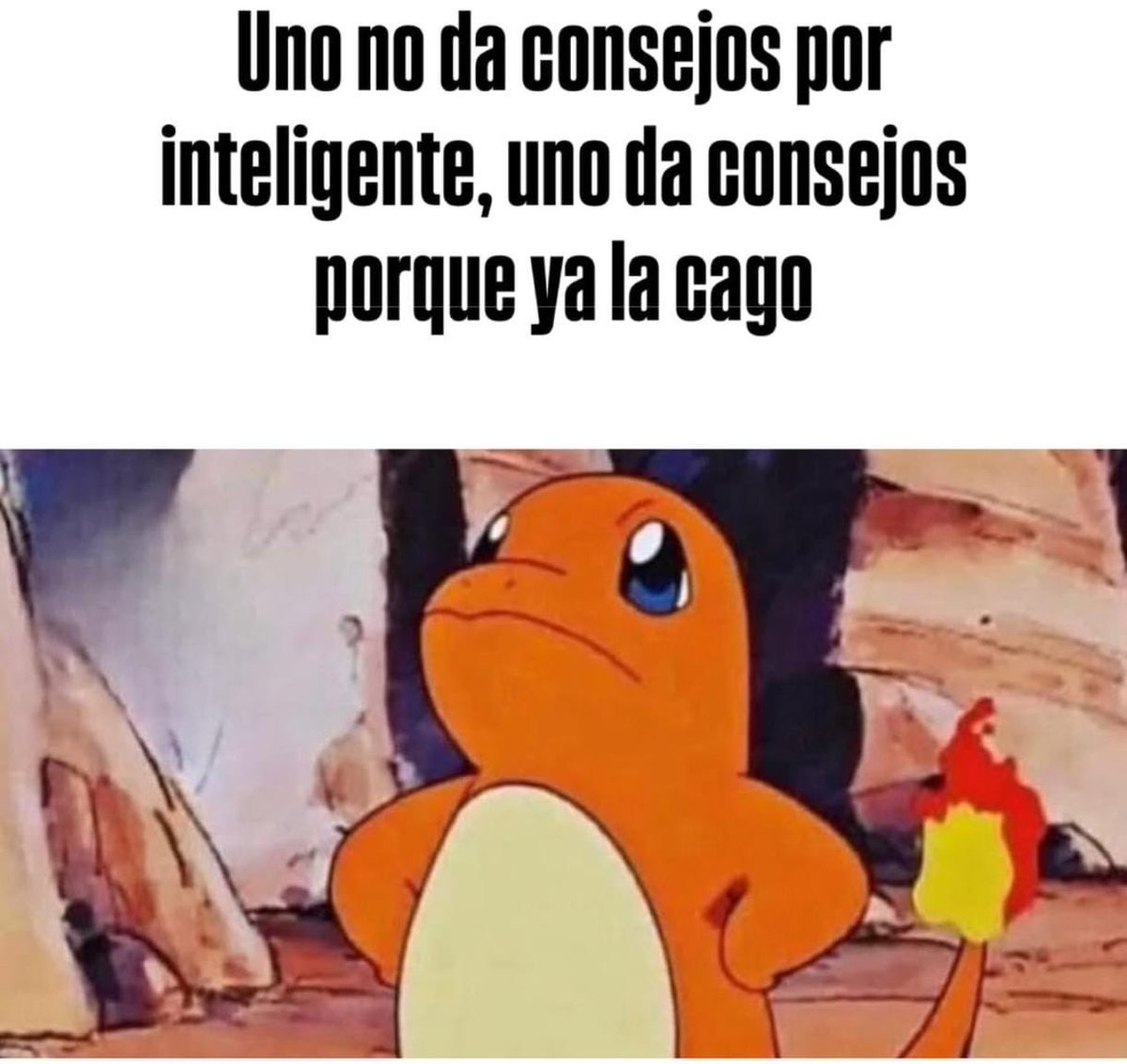 Irma Mando (@nh_smms) on Twitter photo 