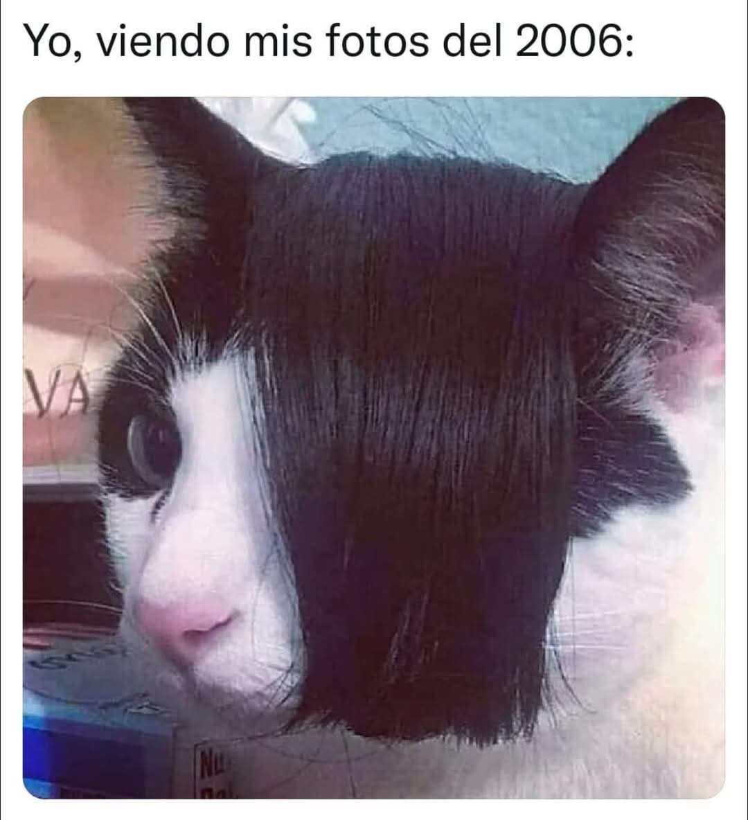 Irma Mando (@nh_smms) on Twitter photo 