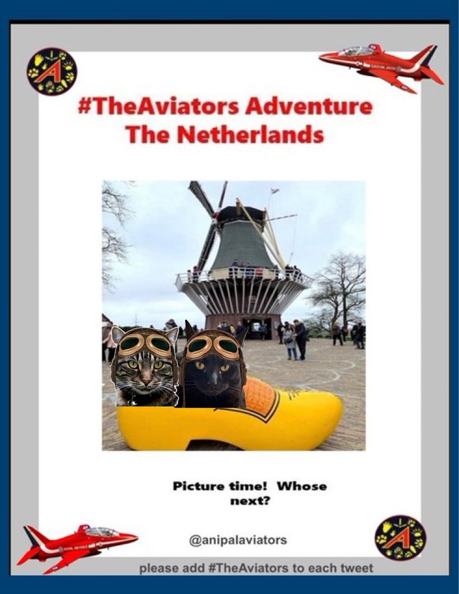 #TheAviators

Woohooden Shoe Pals! @Vitcza