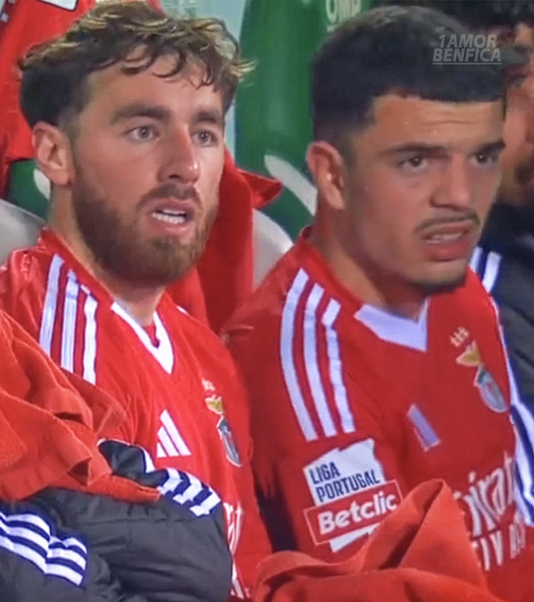 1amorbenfica's tweet photo. As reações mais sinceras ao erro do Florentino ! 😲😂 https://t.co/pVValPUNR5