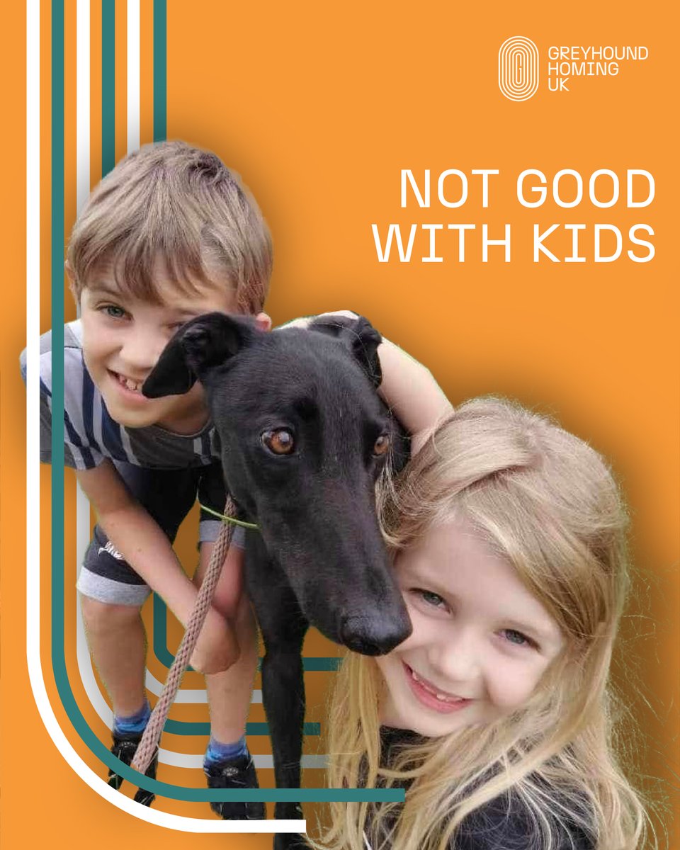 GreyhoundHoming's tweet photo. Retired Greyhounds are patient, gentle and great with kids. They make the perfect family companions 🏡🐶
💙Don't believe the myths💙
#GreyhoundLove #FamilyDog #MythBusting #GHUK https://t.co/eEECjndX24
