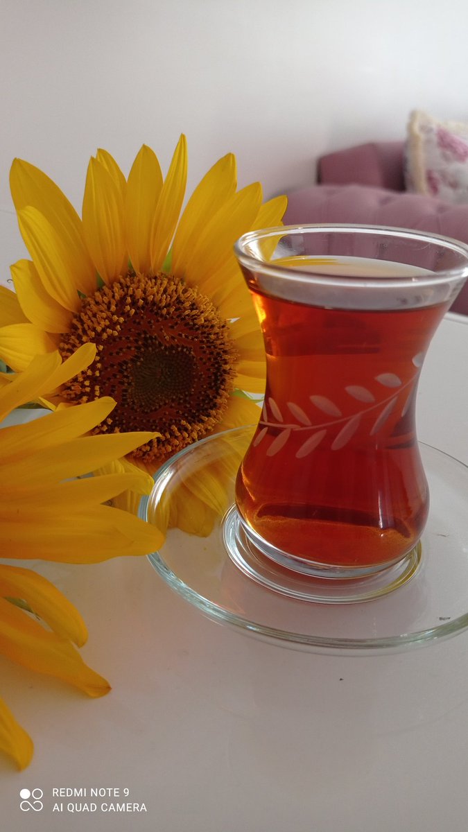 Herşey anlatılmaz ki çay demlenir 
Türkü dinlenir...
#HayırlıAksamlar
#Ankara