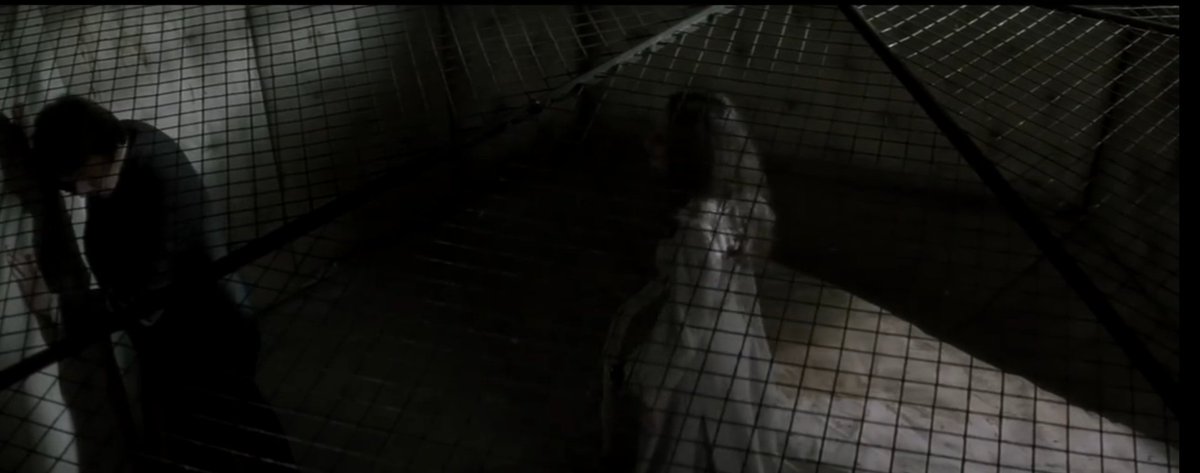 El Mal utiliza una telaraña literal propia del clásico gótico romántico del que surge para contaminar a Lucy quien, a continuación, corrompe la sociedad industrial moderna a la que pertenece usando una telaraña simbólica de hierro.

El excelente DRACULA de John Badham.