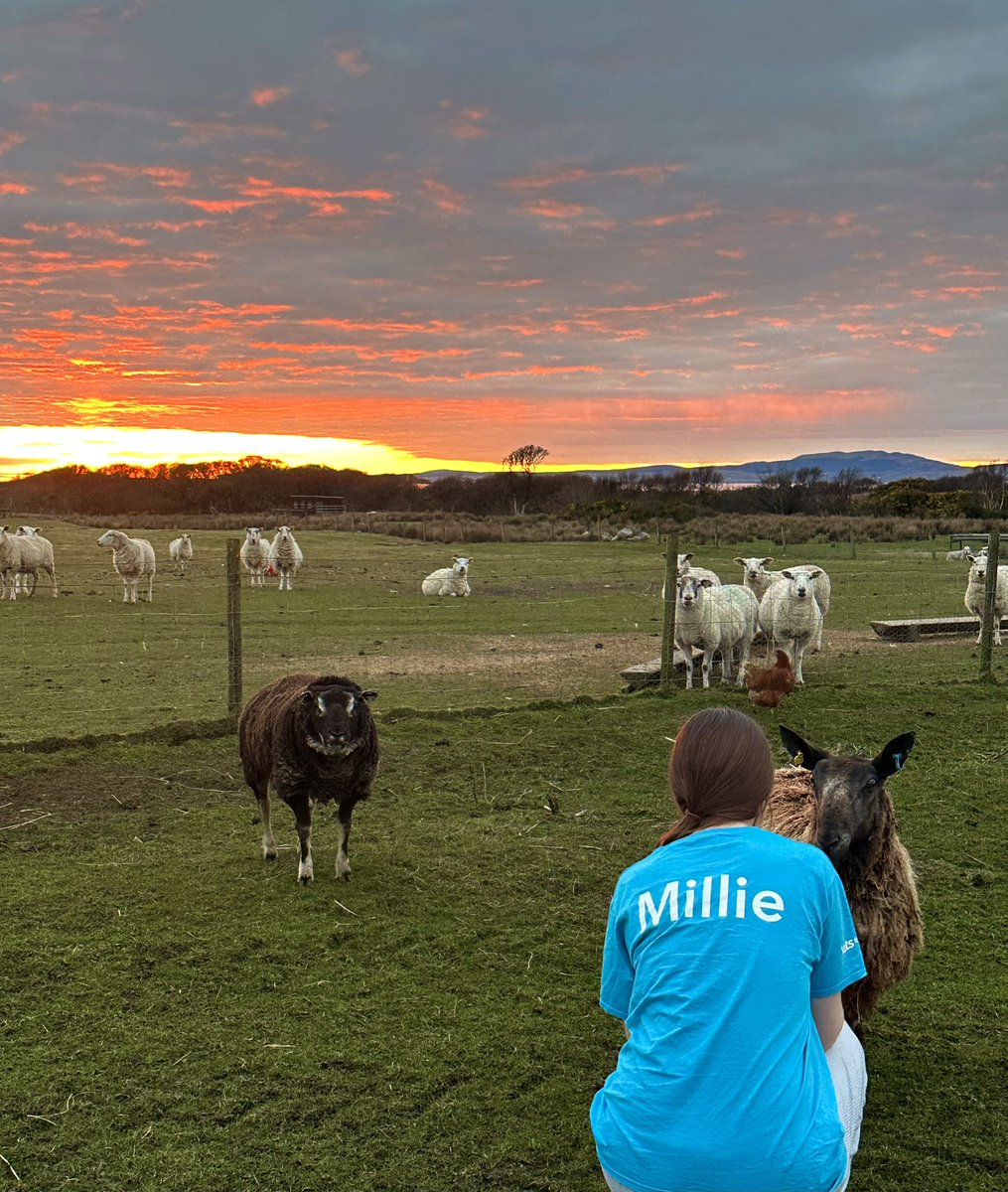 IslayEmma's tweet image. 9 years ago today @islaycountrygal wrote to our local vet asking for help with her school project as she has had dreams of becoming a vet since she was tiny this year she will apply for @UofGSBOHVM @TheDickVet and @SRUCVets @UofGWP @future_vets_SCO 1st pic tonight #excitingtimes