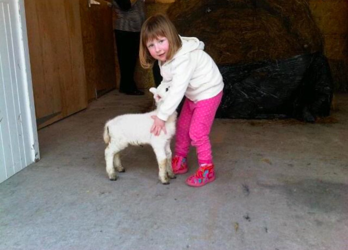 IslayEmma's tweet image. 9 years ago today @islaycountrygal wrote to our local vet asking for help with her school project as she has had dreams of becoming a vet since she was tiny this year she will apply for @UofGSBOHVM @TheDickVet and @SRUCVets @UofGWP @future_vets_SCO 1st pic tonight #excitingtimes