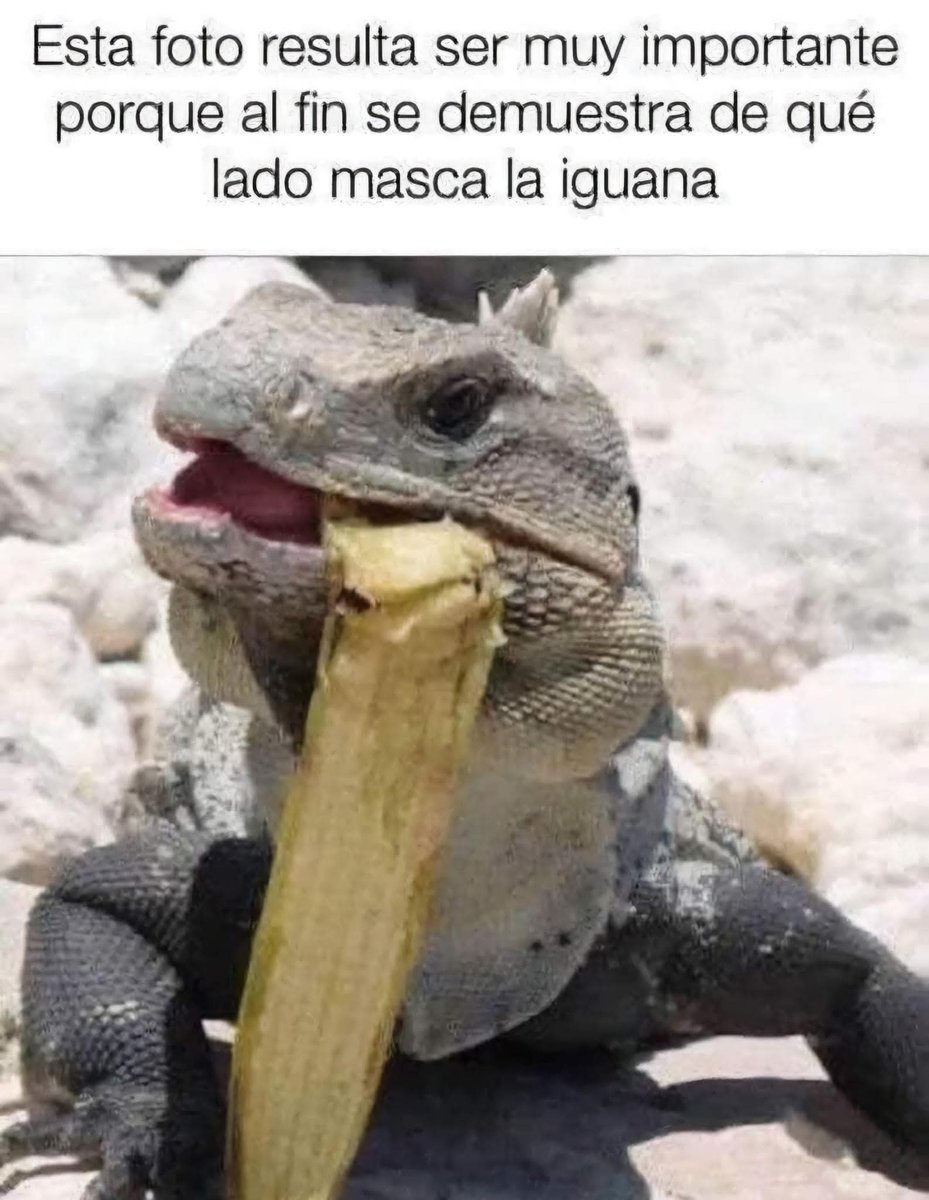 Enséñame de Ciencia (@ensedeciencia) on Twitter photo 