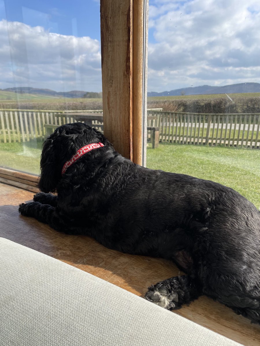 Lyn Eaton tweet media