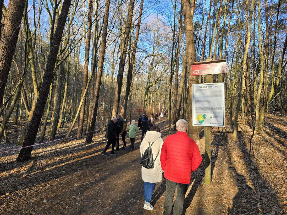 tomarkiewicz's tweet photo. Śnieżycowy Jar w #NadleśnictwoŁopuchowko w mijający weekend odwiedziło 7888 osób: 2546 w sobotę i 5342 dzisiaj. Łącznie z poprzednim to już ponad 14100 osób podziwiało ten cud natury. Dzięki zaangażow. leśników, policji i wojska wszystko przebiega bezpiecznie również dla przyrody https://t.co/WuHRfTDrMU