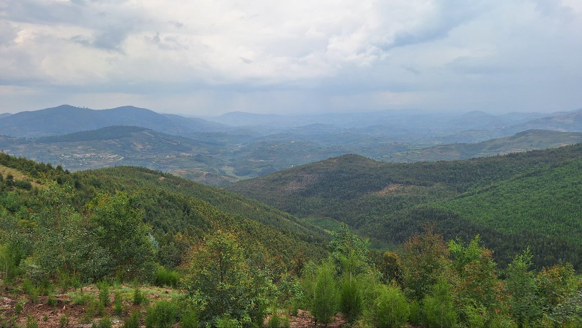 hikingoutdoorAd's tweet photo. Mount Huye, also known as Huye Mountain, is a significant natural and historical landmark in Rwanda. Located in the Southern Province near the city of Huye (formerly Butare), the mountain holds cultural, historical, and ecological importance.

Historical and Cultural Significance

1. Traditional Importance: Mount Huye has long been associated with Rwandan history and culture. It is believed to have been a site of spiritual and traditional significance for local communities. Some Rwandan oral traditions mention it as a place where elders and traditional leaders sought guidance.

2. Colonial Era: During the colonial period, Huye became a key administrative and academic center. Butare (now Huye) was the intellectual and cultural capital of Rwanda during Belgian rule. The mountain provided a strategic location and scenic backdrop to institutions like the University of Rwanda, which was established in the area in 1963.

3. Resistance and Liberation: Some historical accounts suggest that Mount Huye may have been used as a refuge or hideout during times of conflict, including the Rwandan Liberation Struggle in the early 1990s.

Ecological and Adventure Tourism

Today, Mount Huye is known for its hiking trails and panoramic views. It attracts visitors looking for outdoor activities such as hiking and nature walks. The mountain is also home to diverse flora and fauna, contributing to Rwanda's rich biodiversity.

#VisitRwanda 🇷🇼❤️🛫