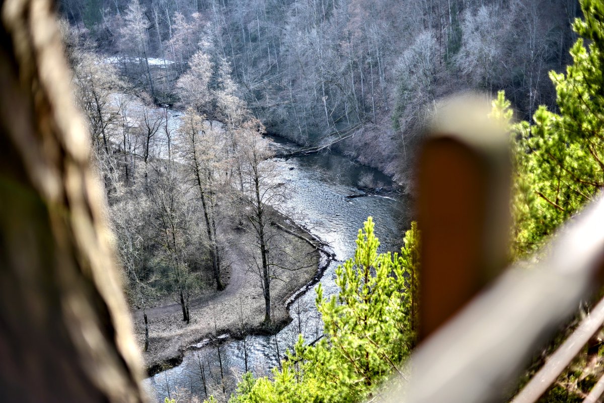 Remigijus82's tweet photo. #forest #highmountain #rivers #escarpment #high #trees https://t.co/IUNVri6DMD