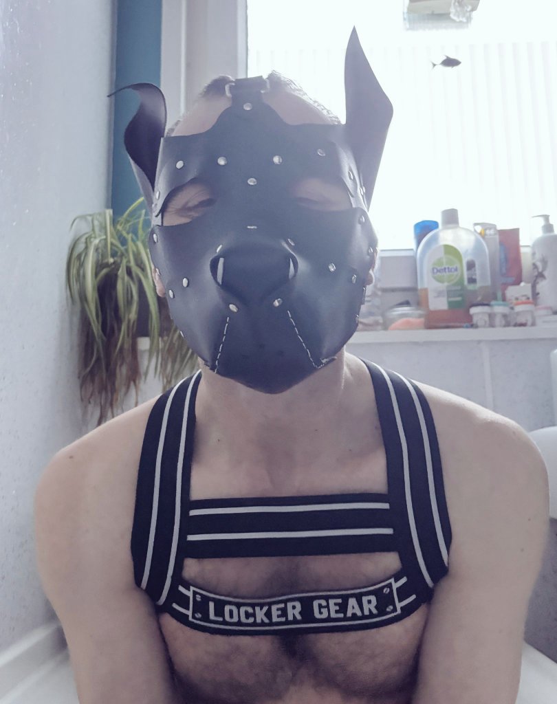 <a href="/lockergearmen/">Locker Gear</a> 
The Angel/Playful/Spicy versions of <a href="/pupi_love_80/">Pupi Love ™️ (Official) (1.3k)</a> ❤️ this Harness 
<a href="/dilfuk/">DILFUK</a> will see me in it when I'm there for my 45th birthday. ..
Anything Else you recommend?

That question goes to all...
From the New Scottish Model for <a href="/fsmanofficial/">FSman.net 🔞</a>,
What should I wear next?