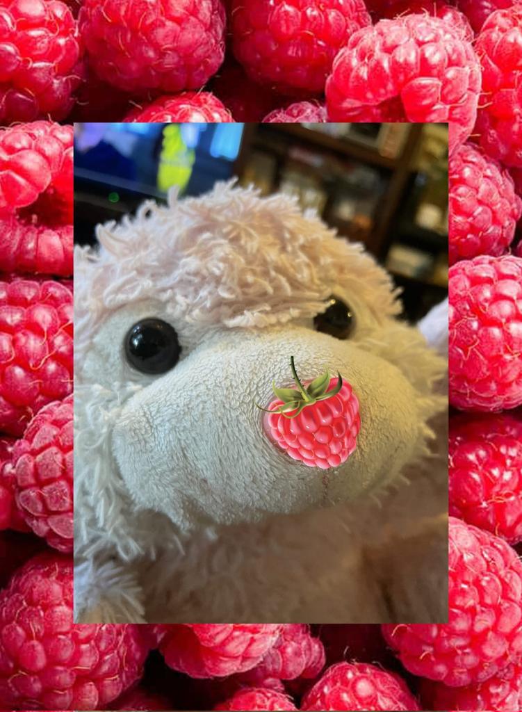 Stuffie_Steve 🇺🇦🇬🇱 tweet media