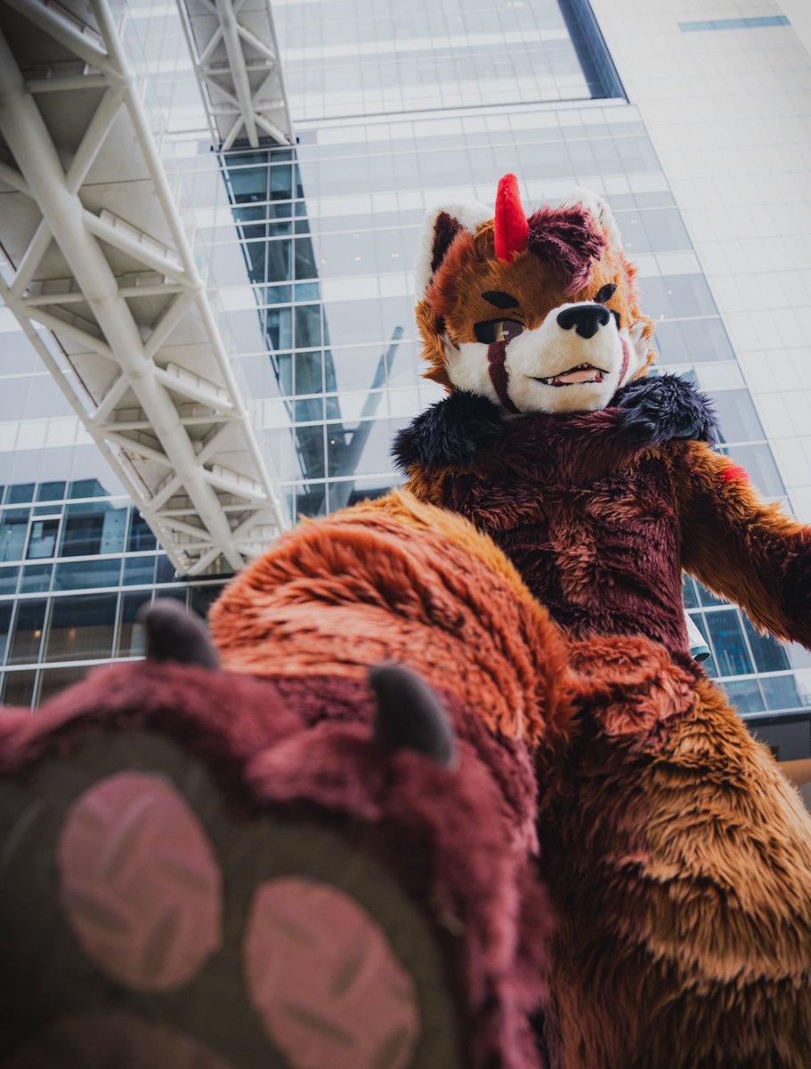 Warren_0713's tweet photo. 讓我踩踩你❤️

🧵：
@furmony 
📷：
@WokaWolf_TW https://t.co/EsXIPASHG2