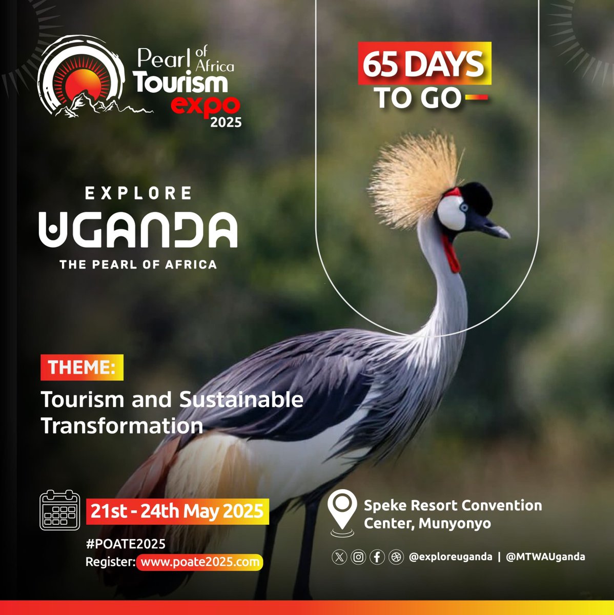 Visitors often travel to Uganda for events and conferences like #POATE2025, but their journey doesn't end there. 
Many extend their stay to explore the country’s rich wildlife and natural beauty by visiting Uganda’s National Park for Wildlife Safaris.
#ExploreUganda | 6️⃣5️⃣ Days⏳