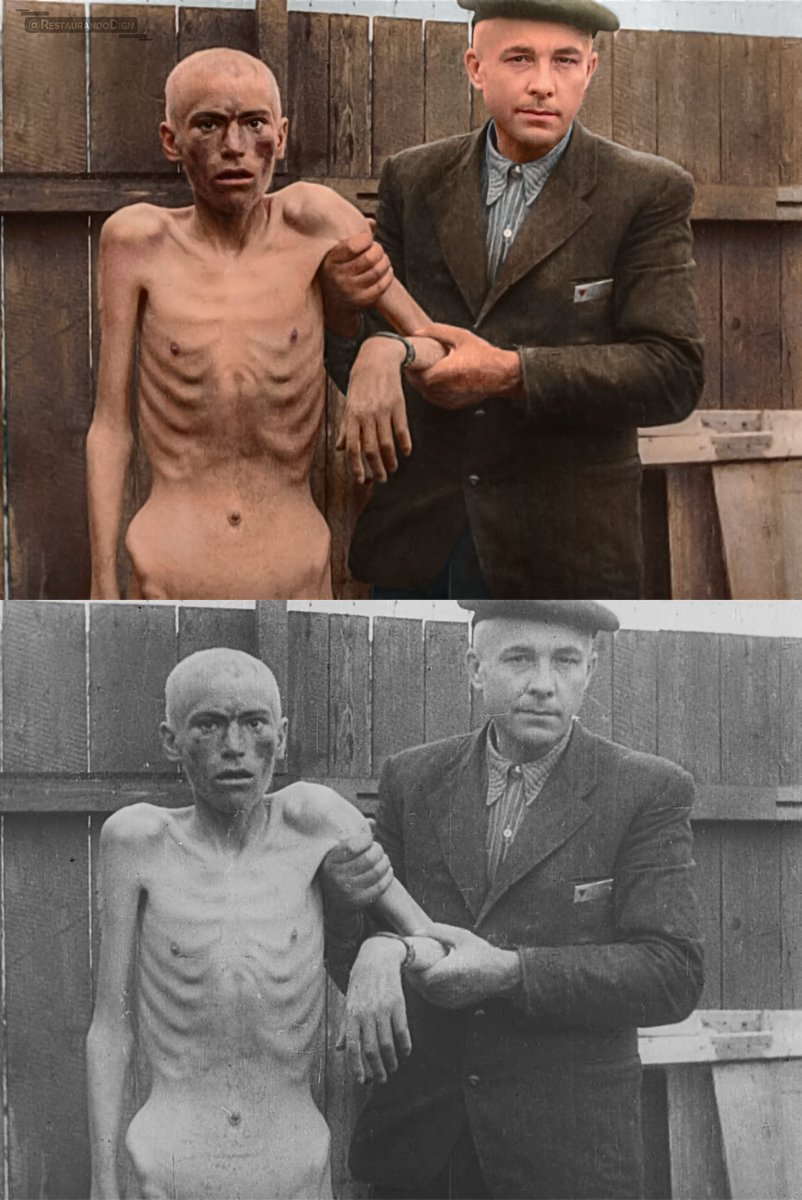 A prisoner reveals the emaciated condition of his companion at the Nordhausen concentration camp.

In the camps, those in such a state were referred to as "Muselmann" (pl. "Muselmänner")—a term used for those on the brink of death due to starvation and exhaustion.