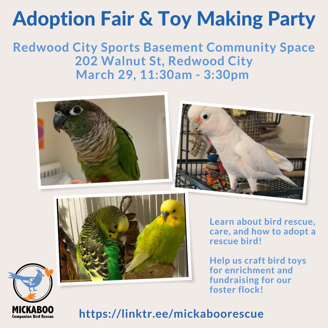 Join us in Redwood City on March 29! Meet some birds available for adoption, and make some new toys with us! #adoptdontshop #parrots #mickaboorescue