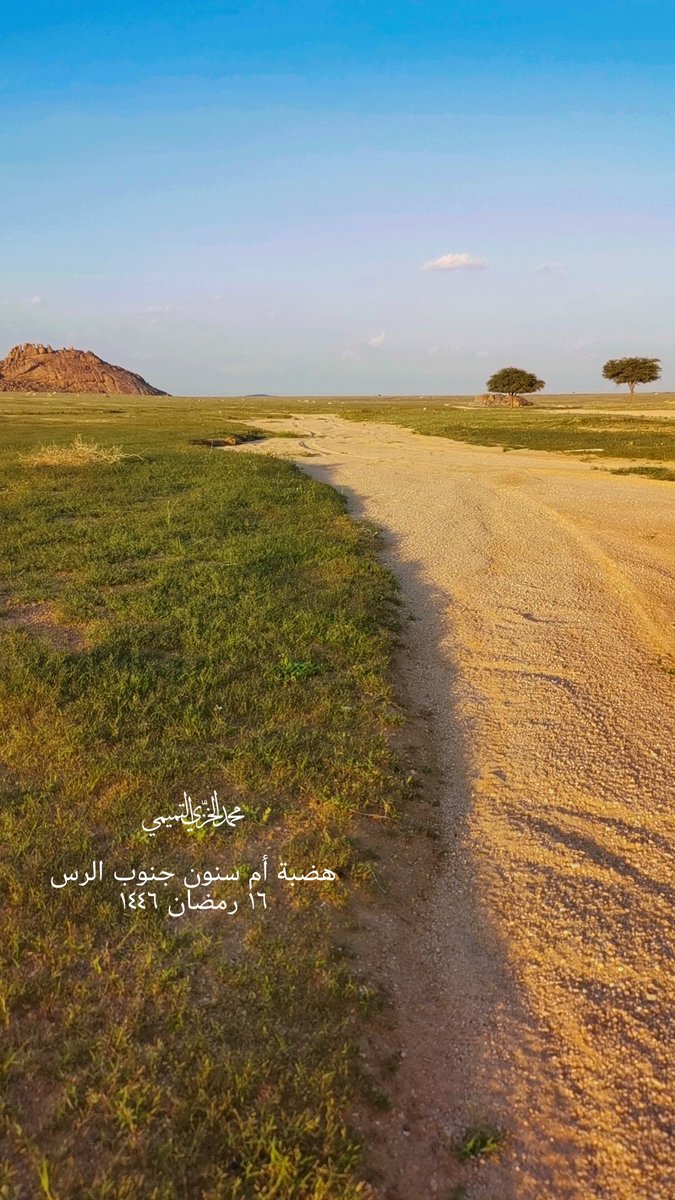 موسم ربيعي مميز و تاريخي في #القصيم #الرس اللهم لك الحمد والشكر 🌱