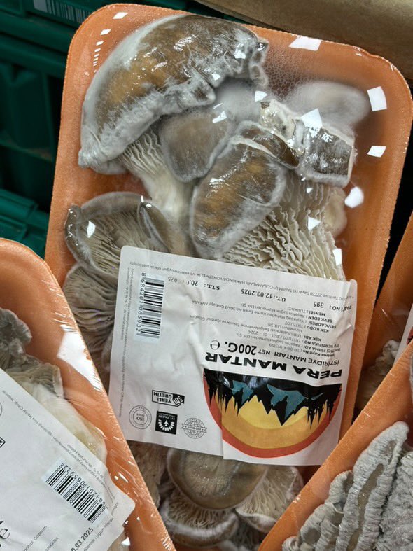 Migros mağazalarından birinde küflenmiş mantarların indirimli olarak satıldığı anlar bir takipçimiz tarafından böyle tespit edildi.
Alenen kamu sağlığı tehdit ediliyor.
<a href="/TCTarim/">T.C. Tarım ve Orman Bakanlığı</a> 
<a href="/Migros_Turkiye/">Migros Türkiye</a>