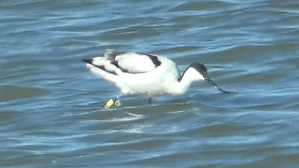 Martin Adams tweet media