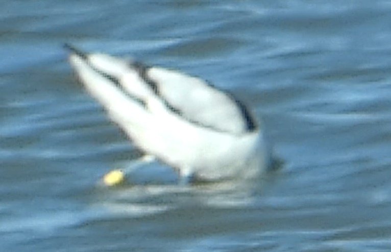 Martin Adams tweet media