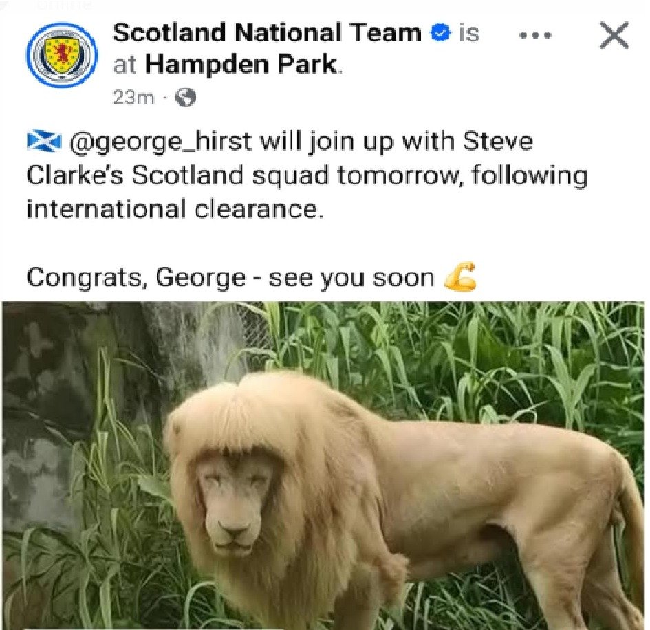 ℙ𝕒𝕦𝕝 ℝ𝕚𝕥𝕔𝕙𝕚𝕖 🏴󠁧󠁢󠁳󠁣󠁴󠁿 tweet media