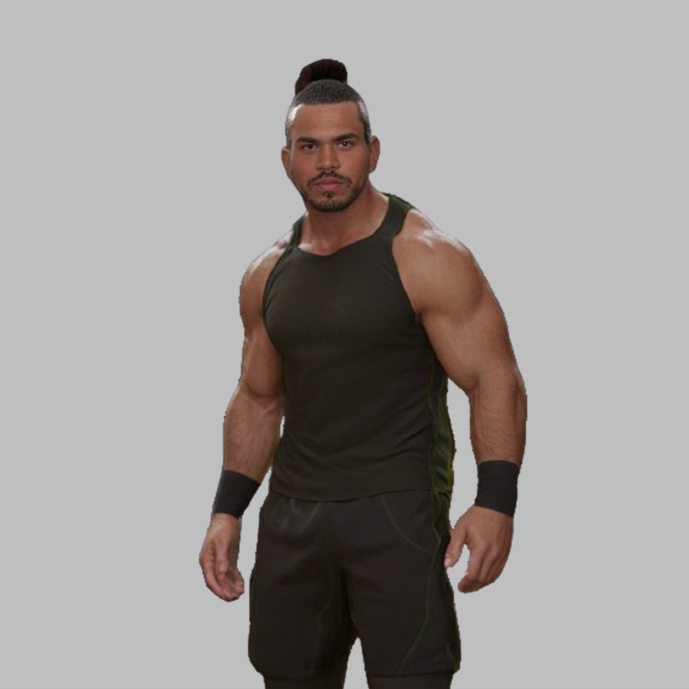 LouisRitchie15's tweet photo. @CCawz95949 @iBudsMoves @jptempleton @travisalekz @PAC_Creates @WWEgames @SaquonOffWwe @Osiris_WWE @DionLennoxWWE @CutlerWWE Hey mate, I made some AI renders as best as i could for these guys, here they are! https://t.co/AzGHYTQlkg