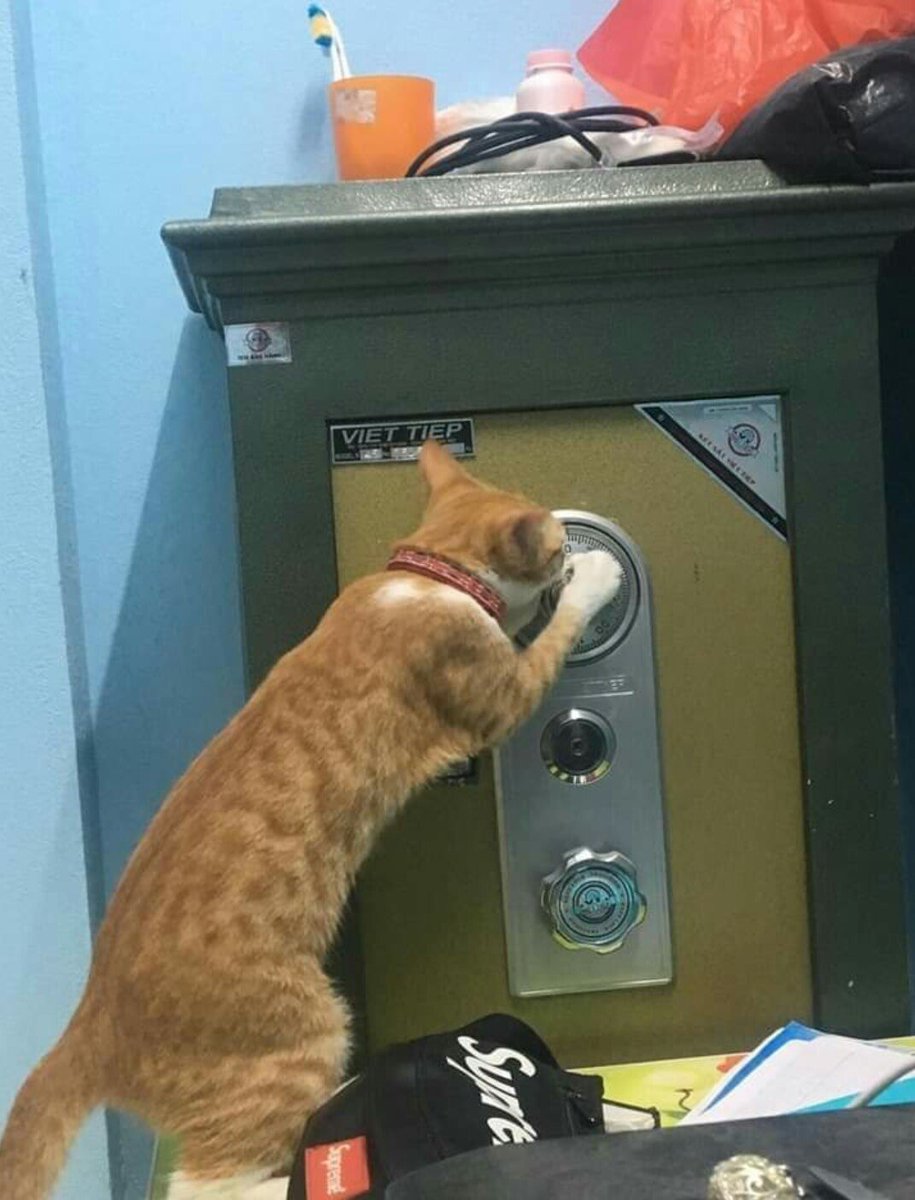 CatWorkers's tweet photo. Safecracker. https://t.co/xTyZrnVNyq