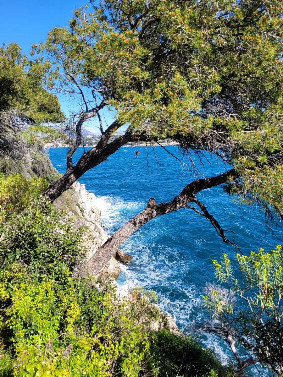 Cap de Nice 🏃‍♂️