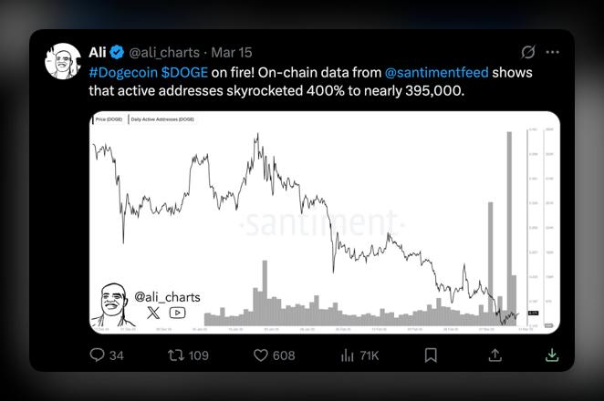 chronosdefi's tweet image. 🐦 Network activity skyrocketed by 400%

🔵 On-chain data shows that the number of active Dogecoin addresses has increased by 400%, reaching 400k.

#Dogecoin #OnChainData #CryptoActivity